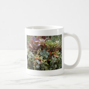 mehrfarbiger Kakteen Tasse