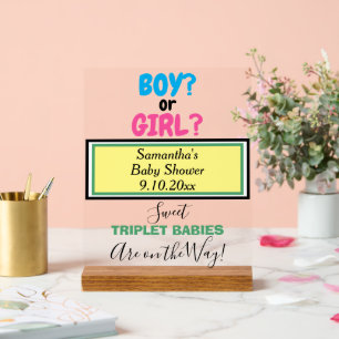 Mehrlinge Baby Shower Pink Blau Gelb Grün NAME Acrylschild
