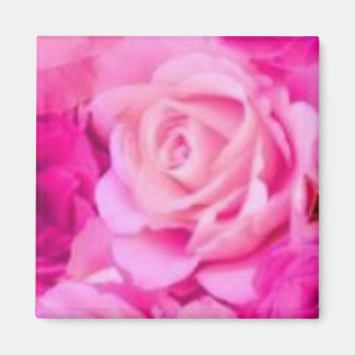 Mehrzweckmagazin Magnet