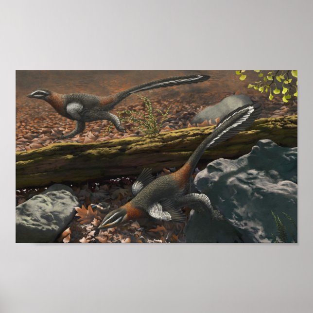 Mei Long Print Poster (Vorne)