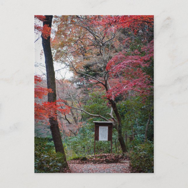 Meiji-Jingu Shrine Inner Garden Postkarte (Vorderseite)
