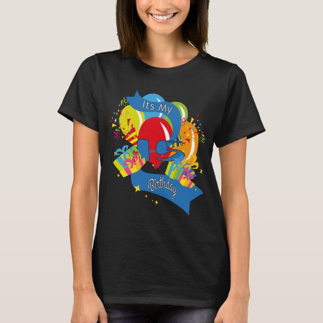 Mein 15 Geburtstag T-Shirt (Vorderseite)
