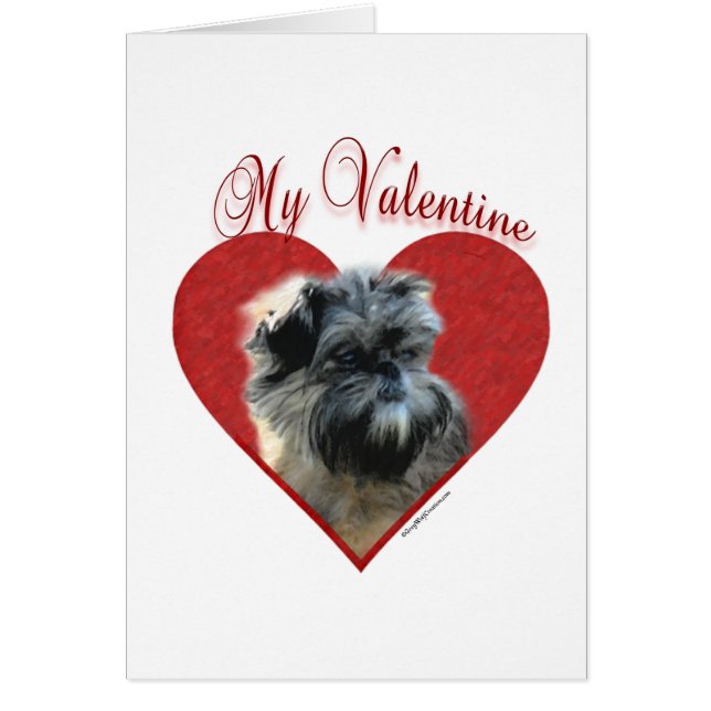 Mein Affenpinscher Valentine (Vorne)