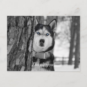 Mein Baby Blue Eyes Danke Postcard Postkarte