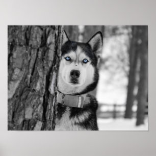 Mein Baby Blue Eyes Poster