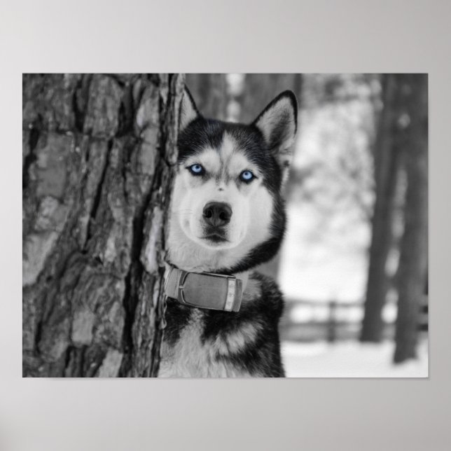 Mein Baby Blue Eyes Poster (Vorne)