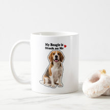 Mein Beagle klebt an mir Süßer Hundeliebhaber