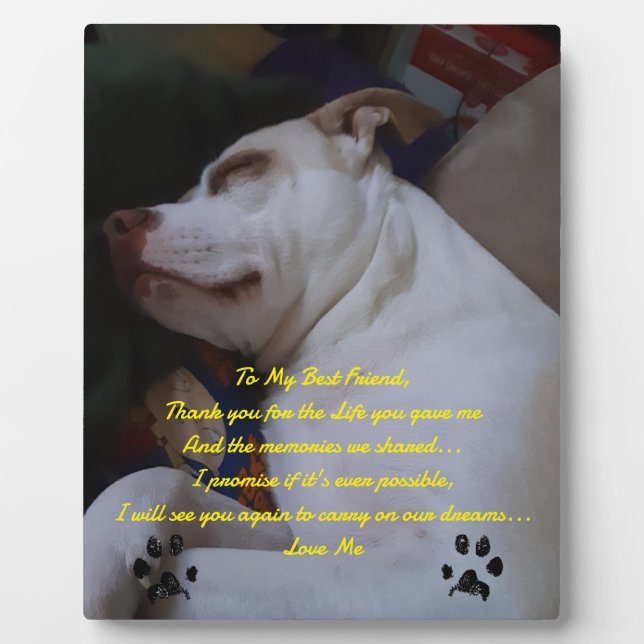 Mein bester Freund Fotoplatte (Vorderseite)