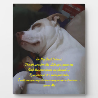 Mein bester Freund Fotoplatte