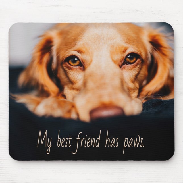 Mein bester Freund hat Pfotenhund, Puppy Meme Mousepad (Vorne)