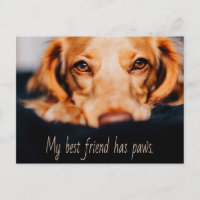 Mein bester Freund hat Pfotenhund, Puppy Meme