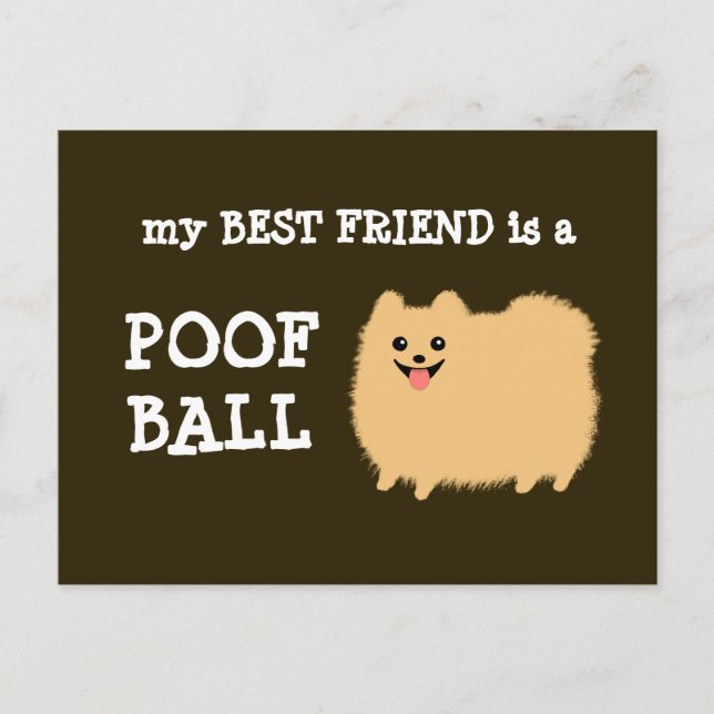 Mein bester Freund ist ein Poof Ball - Funny Pom C Postkarte (Vorderseite)