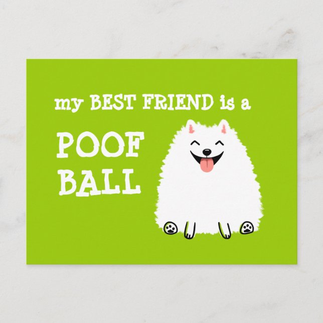 Mein bester Freund ist ein Poof Ball - Funny Spitz Postkarte (Vorderseite)