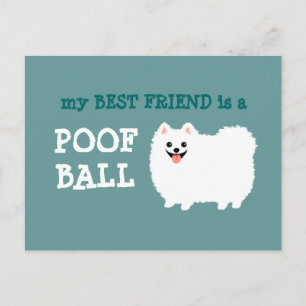 Mein bester Freund ist ein Poof Ball - White Spitz Postkarte