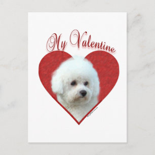 Mein Bichon Frise Valentine Feiertagspostkarte