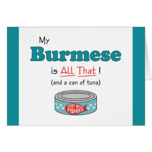 Mein Birma ist alles! Funny Kitty