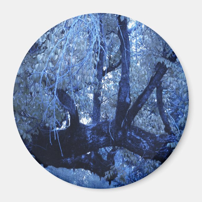 Mein blauer Winter.... Magnet (Vorne)