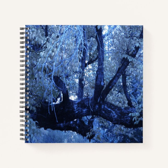 Mein blauer Winter.... Notizbuch (Vorderseite)