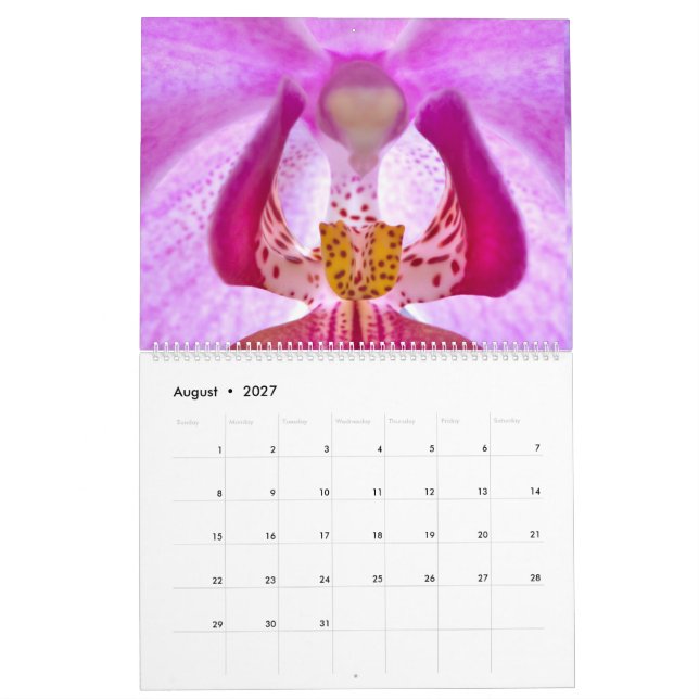 Mein Blumenkalender Kalender (Aug 2027)
