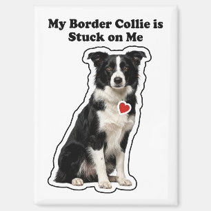 Mein Border Collie hängt an mir Hundeliebhaber Magnet