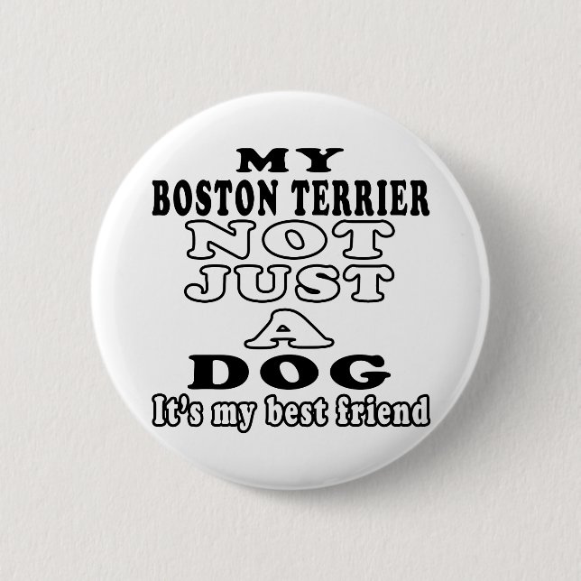 Mein Boston Terrier nicht gerade ein Hund Button (Vorderseite)