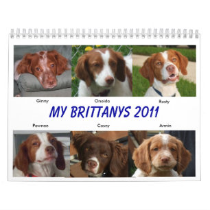 Mein Brittanys 2011 Kalender