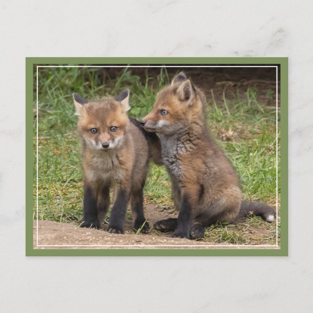 Mein Bruder/Schwester, mein Freund Postkarte (Vorderseite)