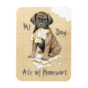Mein Cane Corso Ate meine Hausaufgaben Magnet