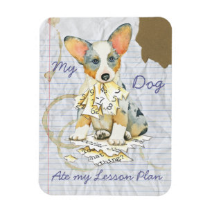 Mein Cardigan Welsh Corgi hat meinen Lektionsplan  Magnet