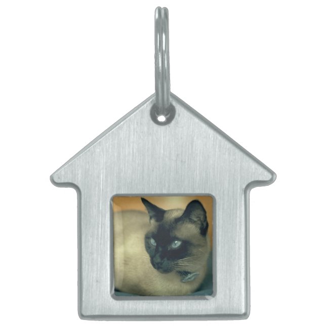 Mein Cat Pet Tag Tiermarke (Vorderseite)