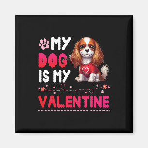 Mein Cavalier King Charles Spaniel Hund ist mein V Magnet