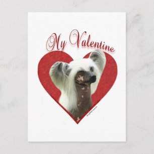 Mein Chinesisch Crested Valentine Postkarte
