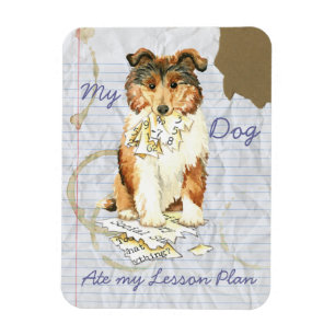 Mein Collie aß meinen Unterrichtsplan Magnet
