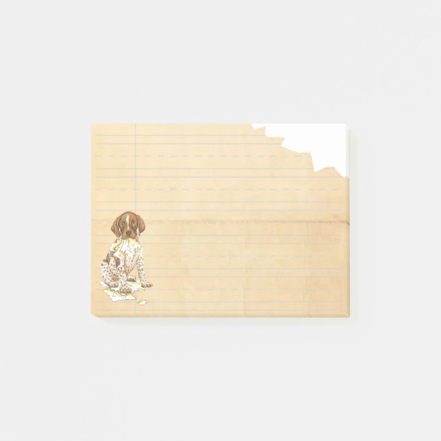 Mein deutscher Kurzzeitpointer hat meinen Lektions Post-it Klebezettel (Vorderseite)