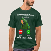 Mein Eclectus-Papagei ruft und ich muss Vogel