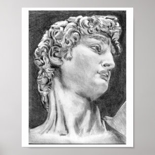 Mein eigener Zeichn DAVID nach Michelangelo Art Po Poster