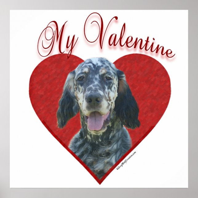 Mein englischer Setter Valentine Poster (Vorne)