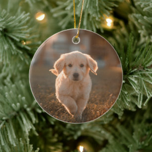 Mein erstes Weihnachten moderne einfache Hunde-Pet Keramik Ornament