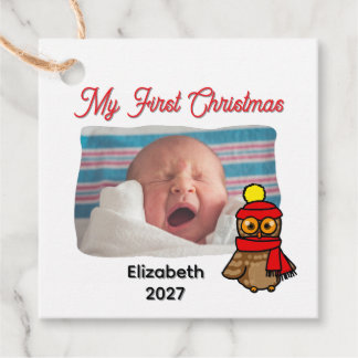 Mein erstes Weihnachten Süße Wintereule Benutzerfo Geschenkanhänger