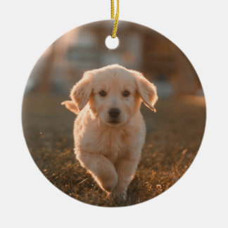 Mein erstes Weihnachts-Modern Script Puppy Pet Fot Keramik Ornament