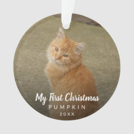 Mein erstes Weihnachtskhalk-Script-Cat-Foto Ornament