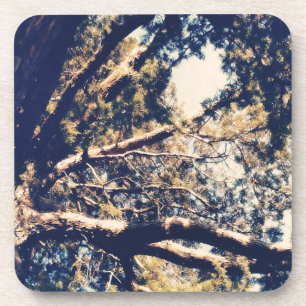 Mein Fave Tree Untersetzer