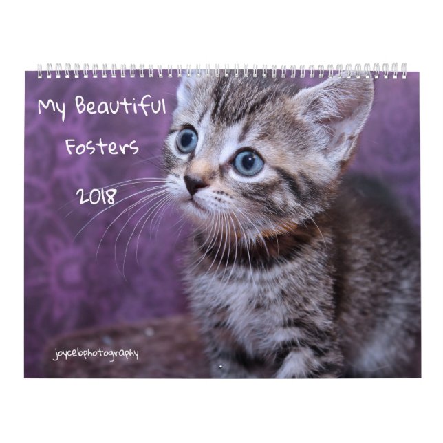 MEIN FOSTER KITTENS 2018 KALENDER (Titelbild)
