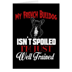 Mein französischer Bulldog ist nicht verwundet