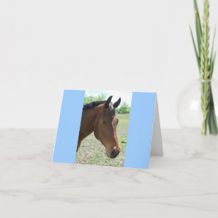 Mein Freund, das Pferd Karte