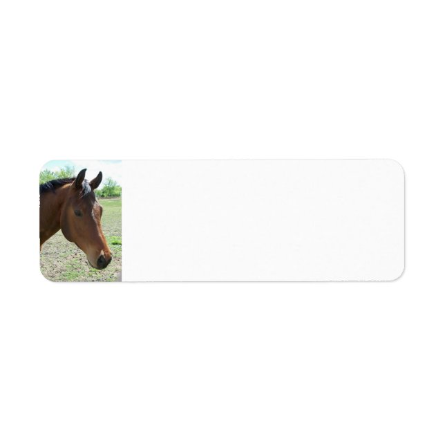 Mein Freund, das Pferd - Personalisiert (Vorne)