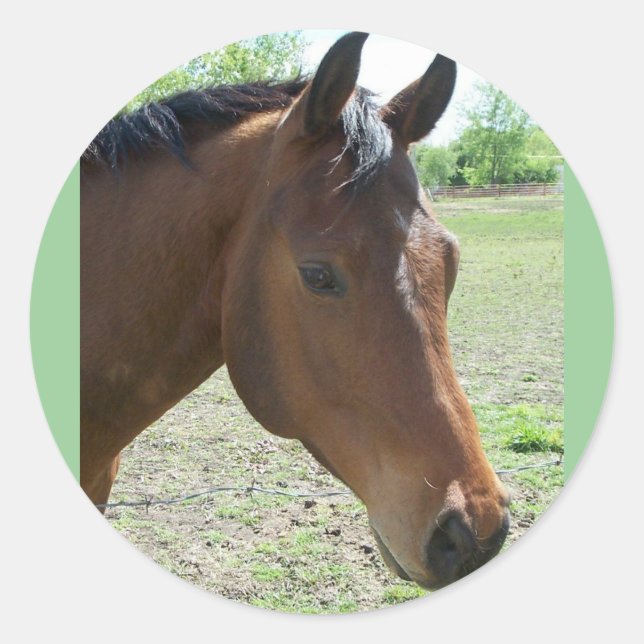 Mein Freund, das Pferd Runder Aufkleber (Vorderseite)