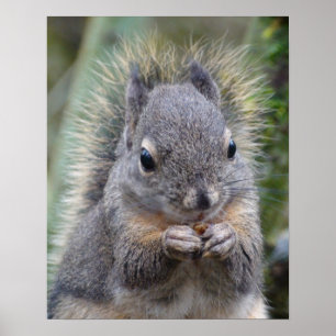 Mein Freund flockig Poster