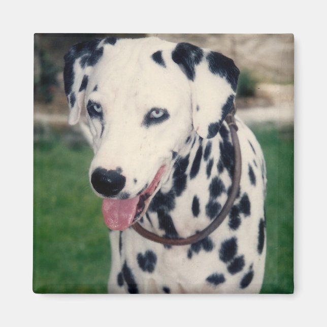 Mein Freund lädt Ihr eigenes Foto individuell hoch Magnet (Vorne)