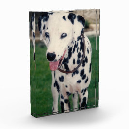 Mein Freund lädt Ihre eigene, eigene, benutzerdefi Fotoblock